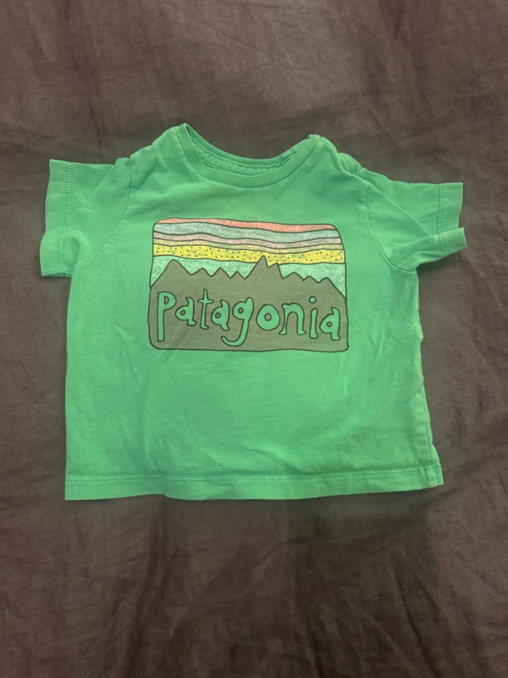 Patagonia Bright Green Kids Short Sleeve Tee with Mountain Logo